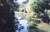 El Corchao