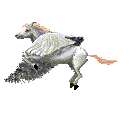 Pegasus