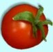Tomate